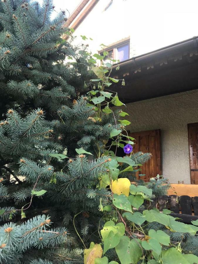 Green Villa Costinesti Eksteriør billede